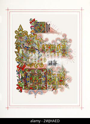 Wunderschön illustriert von Charles Rolt, antik gravierte viktorianische botanische Illustration der Bergpredigt, veröffentlicht 1861. Copyright ha Stockfoto