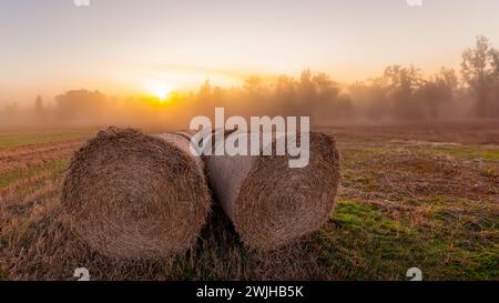 Ein nebeliger Morgen mit ein paar Heuballen, Dänemark Stockfoto