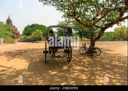 Pferdekutsche und Fahrradtour für Touristen in Taungbi, in der Nähe von Bagan, Mandalay Region, Myanmar (Birma) Stockfoto