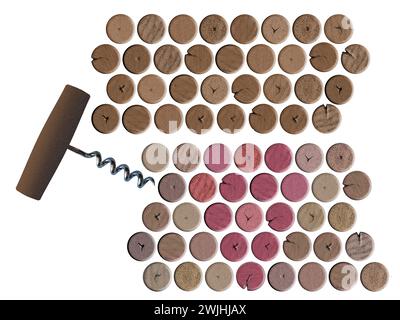 Weinkorken und verwandte Gegenstände werden als 3-D-Illustrationen angesehen, die als grafische Ressourcen verwendet werden können. Stockfoto