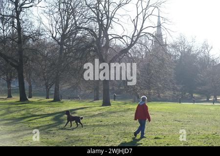 Eine Frau mittleren Alters macht einen Pudel für einen Spaziergang im Greenwich Park im Südosten Londons, Großbritannien Stockfoto