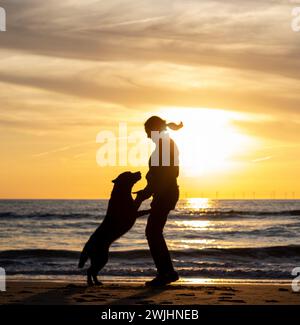 Silhouette eines labradors und ihres Besitzers, der während des Sonnenuntergangs zusammen am Strand springt. Stockfoto