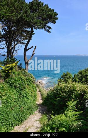 Küstenwanderweg an der Smaragdküste in der Nähe von Saint-Lunaire, Ille-et-Vilaine, Bretagne, Frankreich Stockfoto