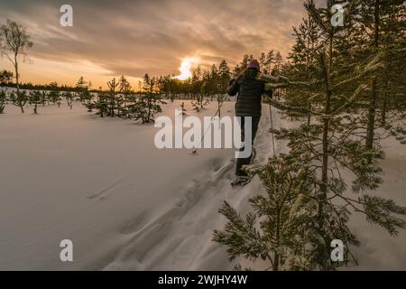 Frauen mittleren Alters in Schneeschuhen, die am Waldrand laufen. Foto auf der Rückseite neben der jungen Kiefer Stockfoto