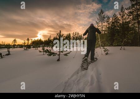 Frauen mittleren Alters in Schneeschuhen, die am Waldrand laufen. Foto auf der Rückseite Stockfoto