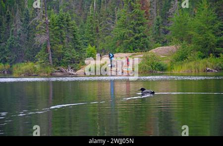 Schwimmen in einem See in Grenzgewässern Kanu Wildnis Area, Minnesota, USA Stockfoto