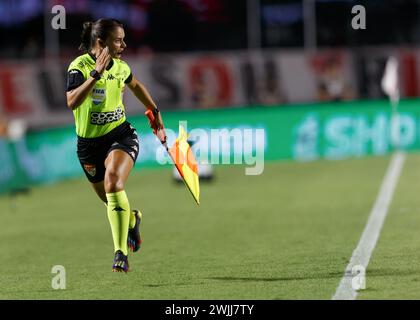 São Paulo Brasilien. Februar 2024. Spiel zwischen São Paulo und Santos, gültig für die 8. Runde der brasilianischen Fußball-Meisterschaft, diesen Mittwoch Stockfoto