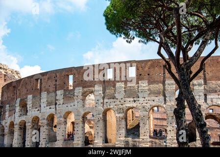 Das Kolosseum - Rom - Italien Stockfoto