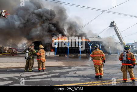 Edwardsville, Usa. Februar 2024. Feuerwehrleute versuchen, ein Feuer bei der Dancheck Feuerlöschfirma von Ariel Trucks zu löschen. Ein Feuer mit zwei Alarmen brach am Donnerstag durch die Dancheck Feuerlöschfabrik. Viele Abteilungen kamen, um den Brand zu löschen, wo Wasser ein Problem war. Das Gebäude war ein Totalschaden. Am Donnerstag brach Ein Feuer mit zwei Alarmen durch die Dancheck Feuerlöschfabrik. Viele Abteilungen kamen, um den Brand zu löschen, wo Wasser ein Problem war. Das Gebäude war ein Totalschaden. Quelle: SOPA Images Limited/Alamy Live News Stockfoto