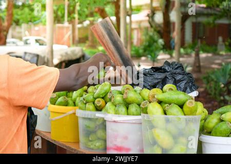 Ein Individuum mit schwarzer Haut wird erfasst, während reife Feigenkaktus auf einem pulsierenden Marktstand platziert wird, was auf den lokalen täglichen Handel in einem tropischen Raum hinweist Stockfoto