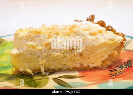 Keto-Kokos-Creme-Kuchen hausgemacht in einer Küche in Taylors Falls, Minnesota, USA. Stockfoto