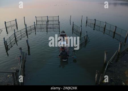 Srinagar, Kaschmir, Indien. Februar 2024. Ein Mann rudert ein Boot auf dem Wasser des Dal-Sees an einem kalten Morgen in Srinagar. Am 16. Februar 2024 in Srinagar, Kaschmir, Indien. (Kreditbild: © Firdous Nazir/OKULARIS via ZUMA Press Wire) NUR REDAKTIONELLE VERWENDUNG! Nicht für kommerzielle ZWECKE! Stockfoto