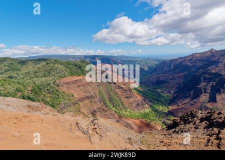 Der Panoramablick auf den Waimea Canyon vom Waimea Canyon Lookout auf Kauai, Hawaii Stockfoto