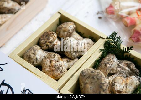 Matsutake-Pilze an einem Imbissstand auf dem Tsukiji Outer Market in Tokio, Japan. Stockfoto