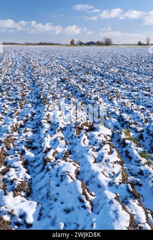 Ein gepflügtes landwirtschaftliches Feld, das im Winter mit Schnee bedeckt ist, unter einem blauen Himmel mit Wolken. Stockfoto
