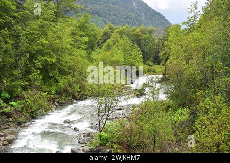 Valdivian gemäßigten Wald. Cochamotal, Region de los Lagos, Chile. Stockfoto