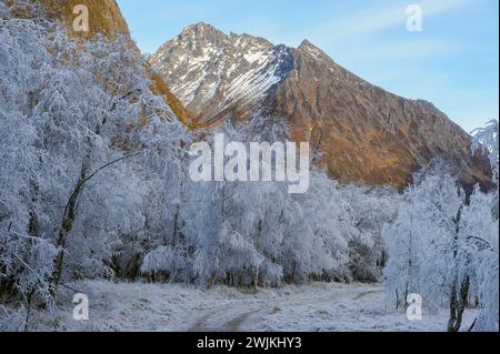 Das Morgenlicht beleuchtet frostbedeckte Bäume und bildet einen Kontrast zur zerklüfteten Bergkulisse. Stockfoto