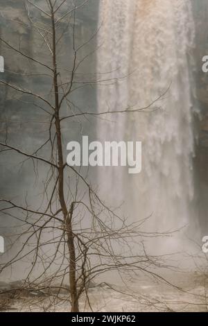 Wasserfall im Taughannock Falls State Park in New York im Winter Stockfoto