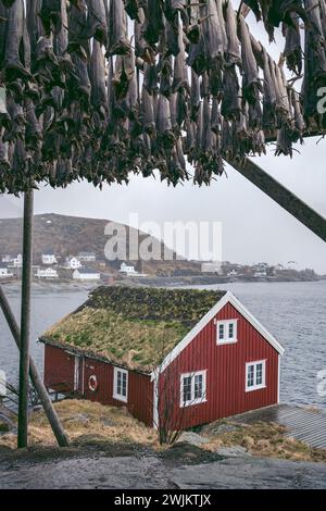 Getrocknete Fische hängen auf Struktur mit Hütte im Hintergrund in der Nähe von Meer Stockfoto