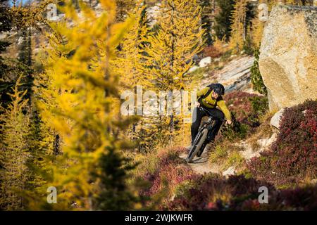 North Cascade Mountain Biking in PNW während der Herbstfarben Stockfoto