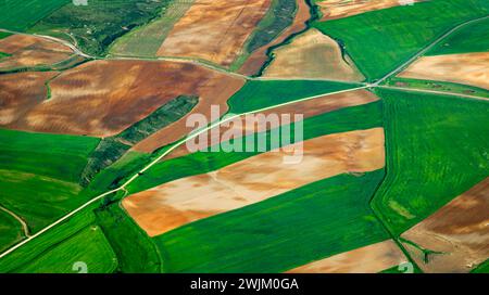 Luftaufnahme, landwirtschaftliche Felder, Segovia, Castilla y León, Spanien, Europa Stockfoto