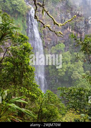 Morans Wasserfall im Lamington National Park, Queensland, Australien. Stockfoto