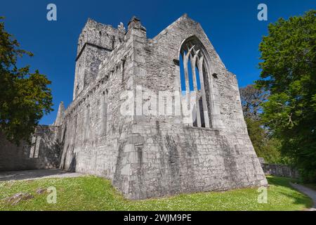 Irland, County Kerry, Killarney, Muckross Abbey, gegründet 1448 als Franziskanerkloster für die Observantiner Franziskaner von Donal McCarthy Mor. Stockfoto