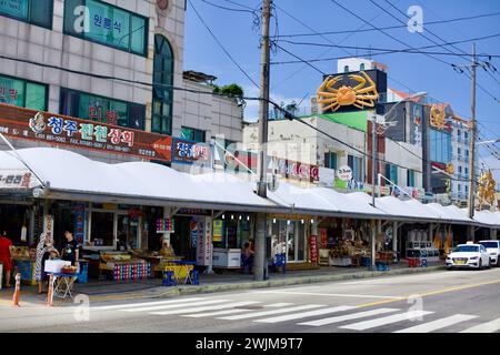 Gangneung City, Südkorea - 29. Juli 2019: Der geschäftige Markt am Hafen von Jumunjin, der mit Fischrestaurants und farbenfrohen Schaufensterfronten lebt. Stockfoto