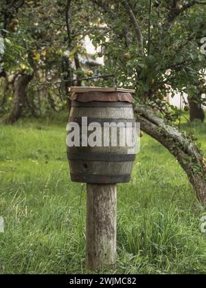 Fass in einer Apfelbaumfarm Stockfoto