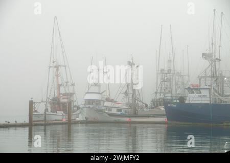 Angeln Boote, Newport Marina, Newport, Oregon Stockfoto