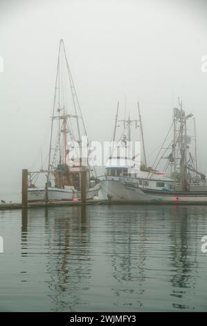 Angeln Boote, Newport Marina, Newport, Oregon Stockfoto