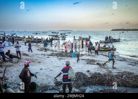 Träger eilen herum, während traditionelle hölzerne Dhow-Boote mit Fischern ankommen, um ihren Fang am Abend auf dem Kivukoni Fish Market, dar, zu entladen Stockfoto