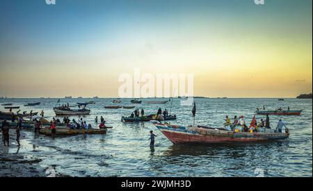 Traditionelle hölzerne Dhow-Boote voller Fischer kommen am Abend an, um ihren Fang auf dem Kivukoni Fischmarkt, dar es Salaam, Tansania, zu entladen. Stockfoto