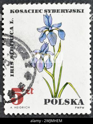 Gestempelte Briefmarke b Polen, die Iris Sibirica - Sibirica zeigt, Serie, um 1967. Stockfoto