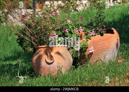 Traditionelle Tongefäße in einem libanesischen Garten mit Blumen im Inneren. Stockfoto