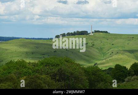 Blick auf das Lansdowne Monument auf Cherhill hinunter vom Morgans Hill Naturschutzgebiet an einem hellen Frühlingstag mit den Hügeln und Bäumen, die in d Stockfoto