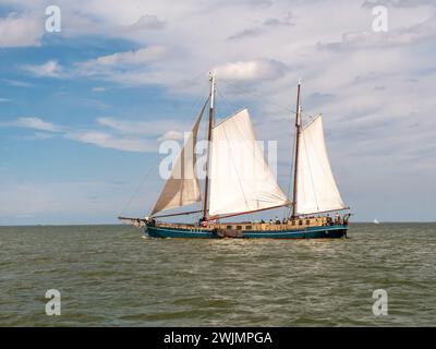 Zweimasten-Clipper und braunes Flottencharterschiff, das auf dem IJsselmeer-See in den Niederlanden segelt Stockfoto
