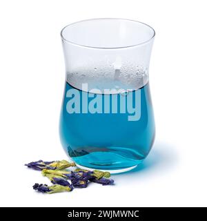 Glas mit blauem Schmetterling Erbsenblüte Tee und getrocknete Schmetterling Erbse Tee Blumen schließen oben isoliert auf weißem Hintergrund Stockfoto