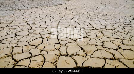 Eine geräumige, trockene Wüstenlandschaft mit verstreuten Blättern und Bäumen vor der fernen Kulisse Stockfoto