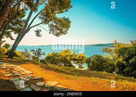 Wunderschöne Darstellung von Sonne, Meer und Kiefern an der kroatischen Küste, Kiefern und Meerblick, kristallklares Wasser der Adria, Insel Ugljan i Stockfoto