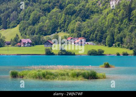 Schöner smaragdgrüner Lago Lungerersee in den Schweizer Alpen, Kanton Obwalden, Schweiz Stockfoto