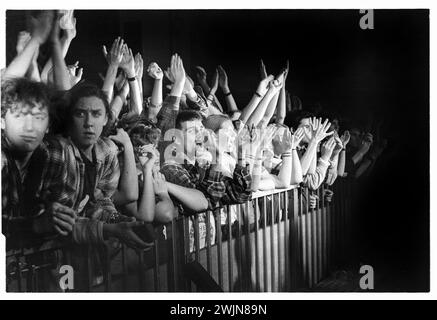 BRITPOP-FANS, ANSON ROOMS, BRISTOL, 1996: Britpop-Fans kämpfen am 20. Januar 1996 gegen die Barriere in den Anson Rooms der Bristol University in Bristol, England. Sie nehmen an der NME Bratbus Tour 1996 Teil, auf der die Cardigans, Bluetones, Fluffy und Heavy Stereo vorgestellt wurden. Foto: Rob Watkins Stockfoto