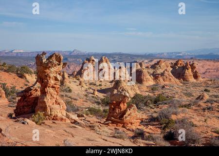 Erodierte Navajo-Sandsteinformationen in South Coyote Buttes, Vermilion Cliffs National Monument, Arizona. Stockfoto