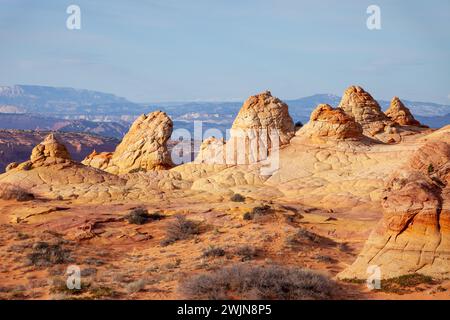 Erodierte Navajo-Sandsteinformationen in South Coyote Buttes, Vermilion Cliffs National Monument, Arizona. Stockfoto