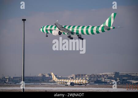 Condor Airbus A330-900 nähert sich dem Flughafen Frankfurt FRA und im Winter auf dem Rollweg Fraport, Hessen, Deutschland Stockfoto