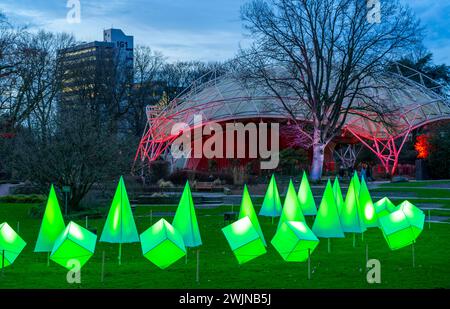 Parkleuchten, Event im Winter, im Grugapark in Essen, viele verschiedene Lichtinstallationen, quer durch den Park, ziehen viele Tausende von Besuchern an, NRW Stockfoto