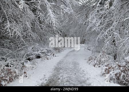 Ein unberührter, verschneite Pfad schlängelt sich durch einen Wald, mit stark mit Schnee beladenen Ästen, die einen Bogen über dem Kopf bilden. Stockfoto