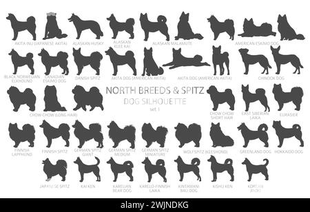 Hunde züchtet Silhouetten einfach Clipart. North Breeds und Spitz Collection. Vektorabbildung Stock Vektor