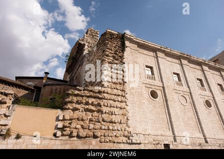 Ruinen der Stiftskirche Santa María la Mayor (13. Jahrhundert). Valladolid. Campiña del Pisuerga. Provinz Valladolid. Kastilien und León Co Stockfoto