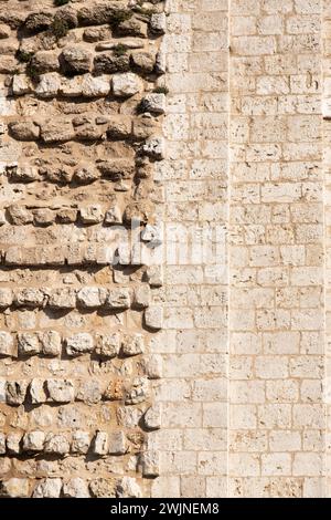 Ruinen der Stiftskirche Santa María la Mayor (13. Jahrhundert). Valladolid. Campiña del Pisuerga. Provinz Valladolid. Kastilien und León Co Stockfoto